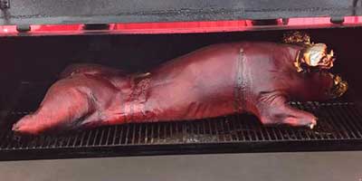 whole hog on smoker